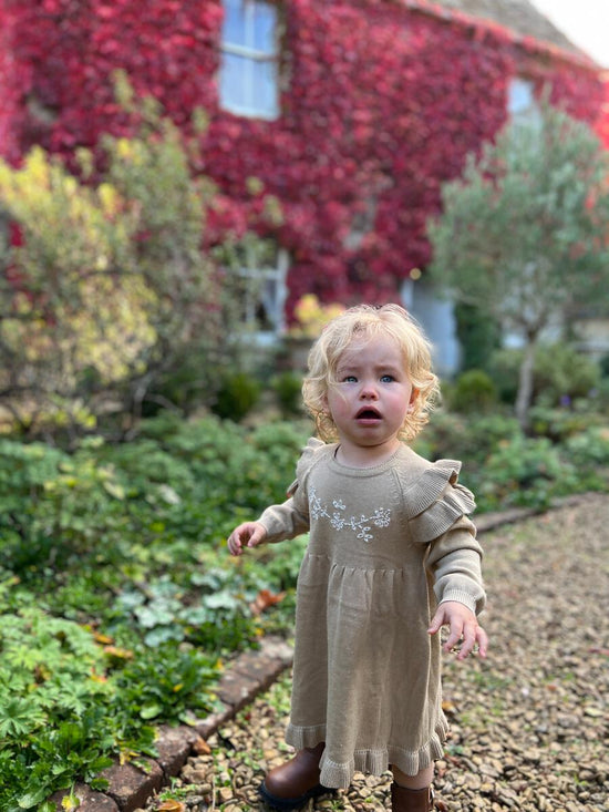 Load image into Gallery viewer, Oatmeal Embroidered Ruffle Sweater Dress
