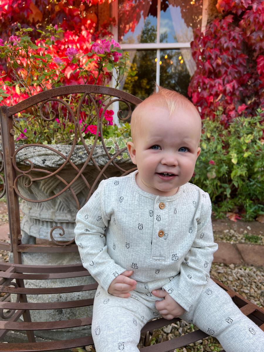 Oatmeal Owl Long Sleeve Onesie