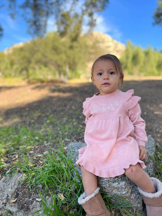Load image into Gallery viewer, Soft Pink Embroidered Ruffle Sweater Dress
