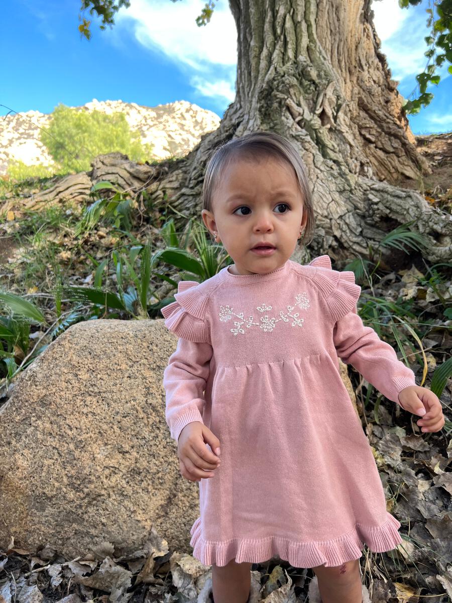 Soft Pink Embroidered Ruffle Sweater Dress