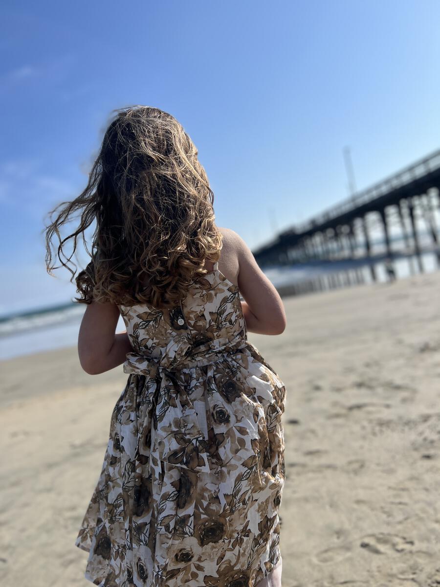 Juliet Oatmeal Roses Dress
