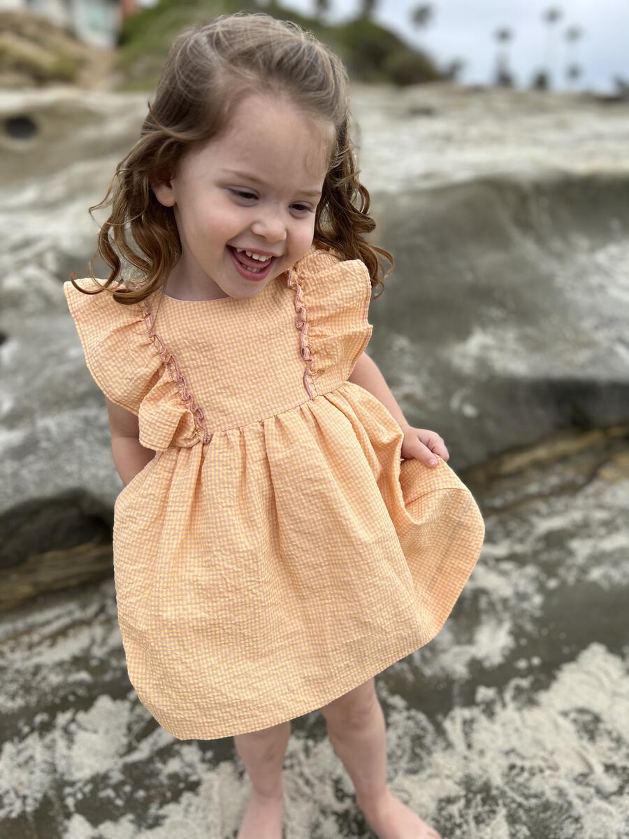 Michelle Sherbert Check Ruffle Dress/Bloomer Set