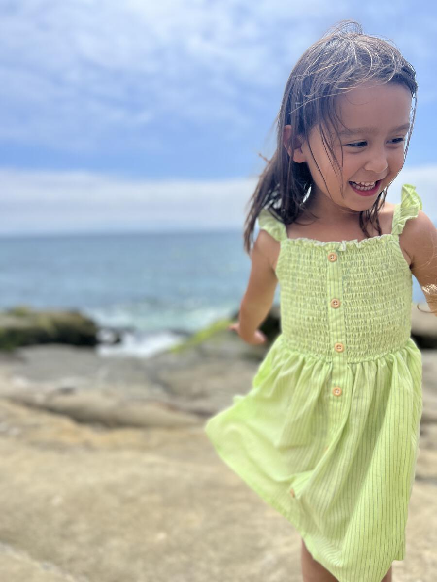 Jill Lime Stripe Smocked Dress