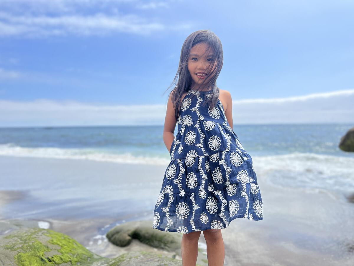 Maleia Dress in Navy/White Floral Embroidery