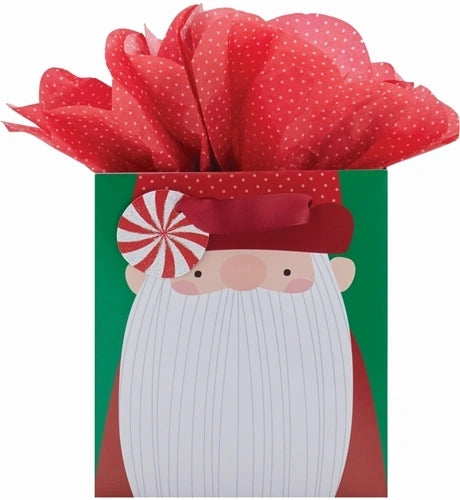 Gnome Santa Gift Bag with Tissue Paper