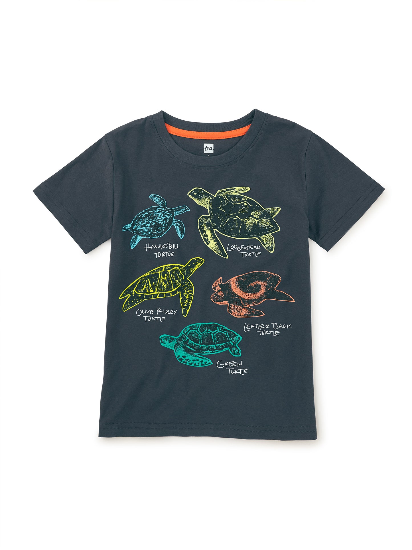 Turtle Discovery Graphic Tee / Indigo