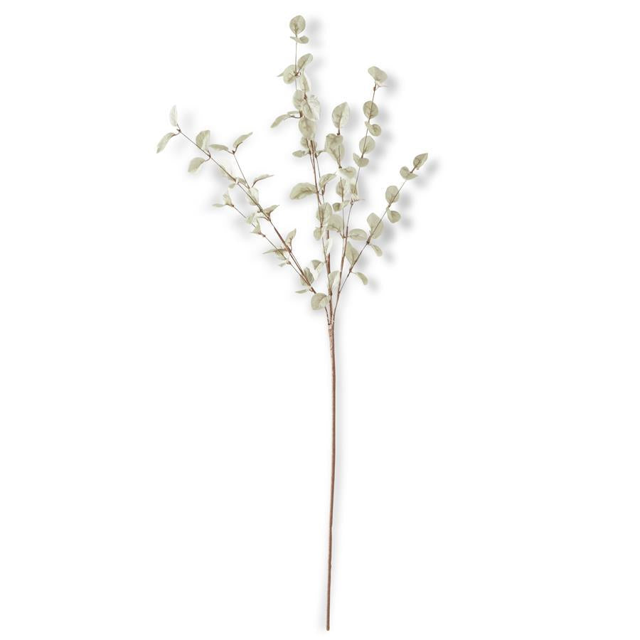 34" Light Green Eucalyptus Stem