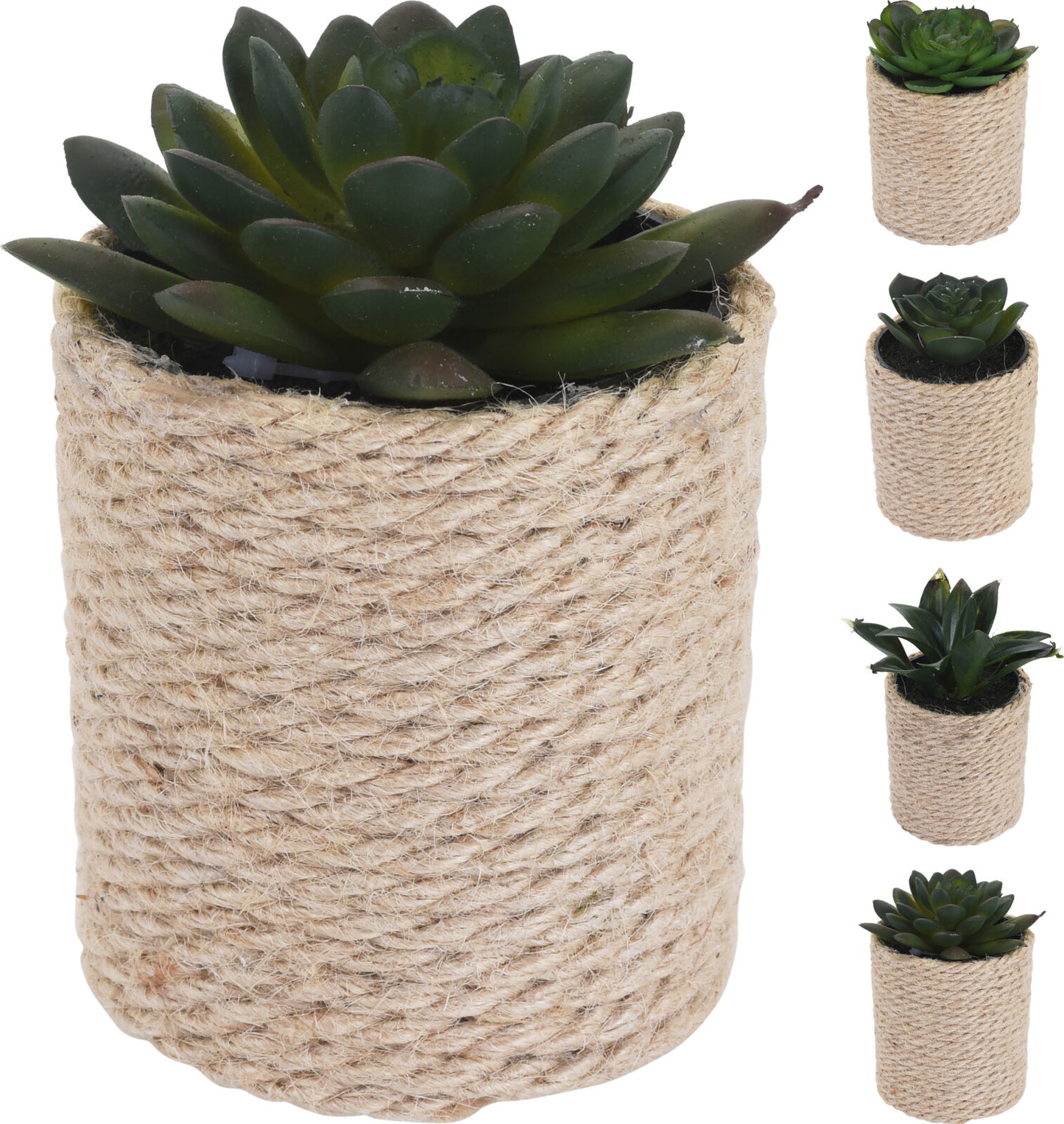 Mini Faux Succulent