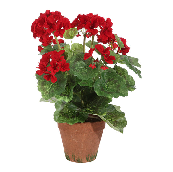 17" Potted Red Geranium