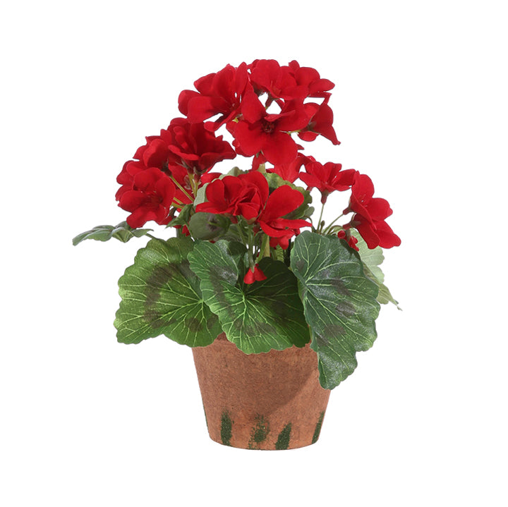9" Potted Red Geranium