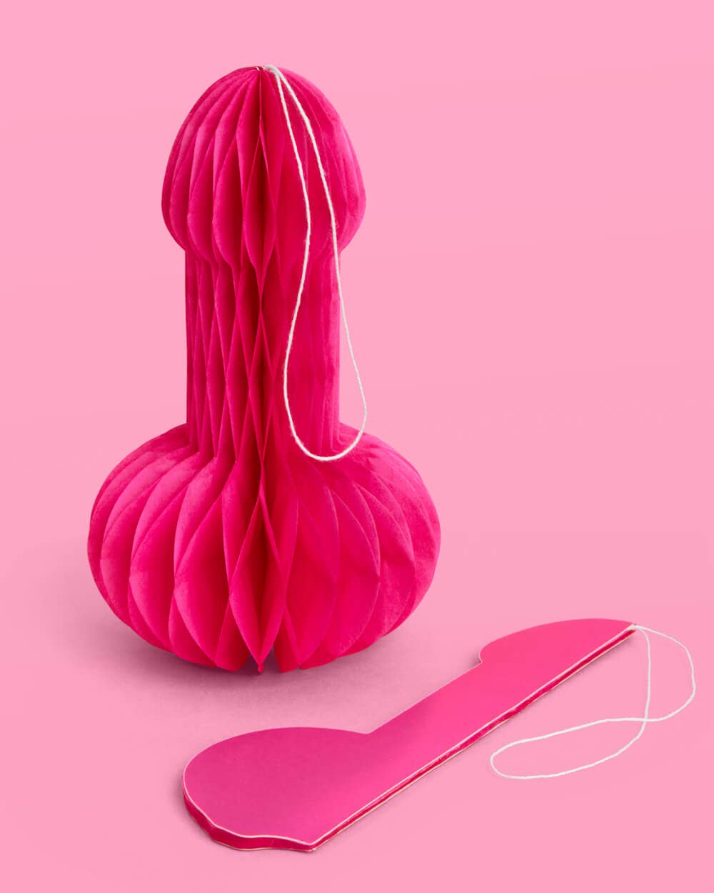 Bachelorette Party Penis Paper Accordion Decoration