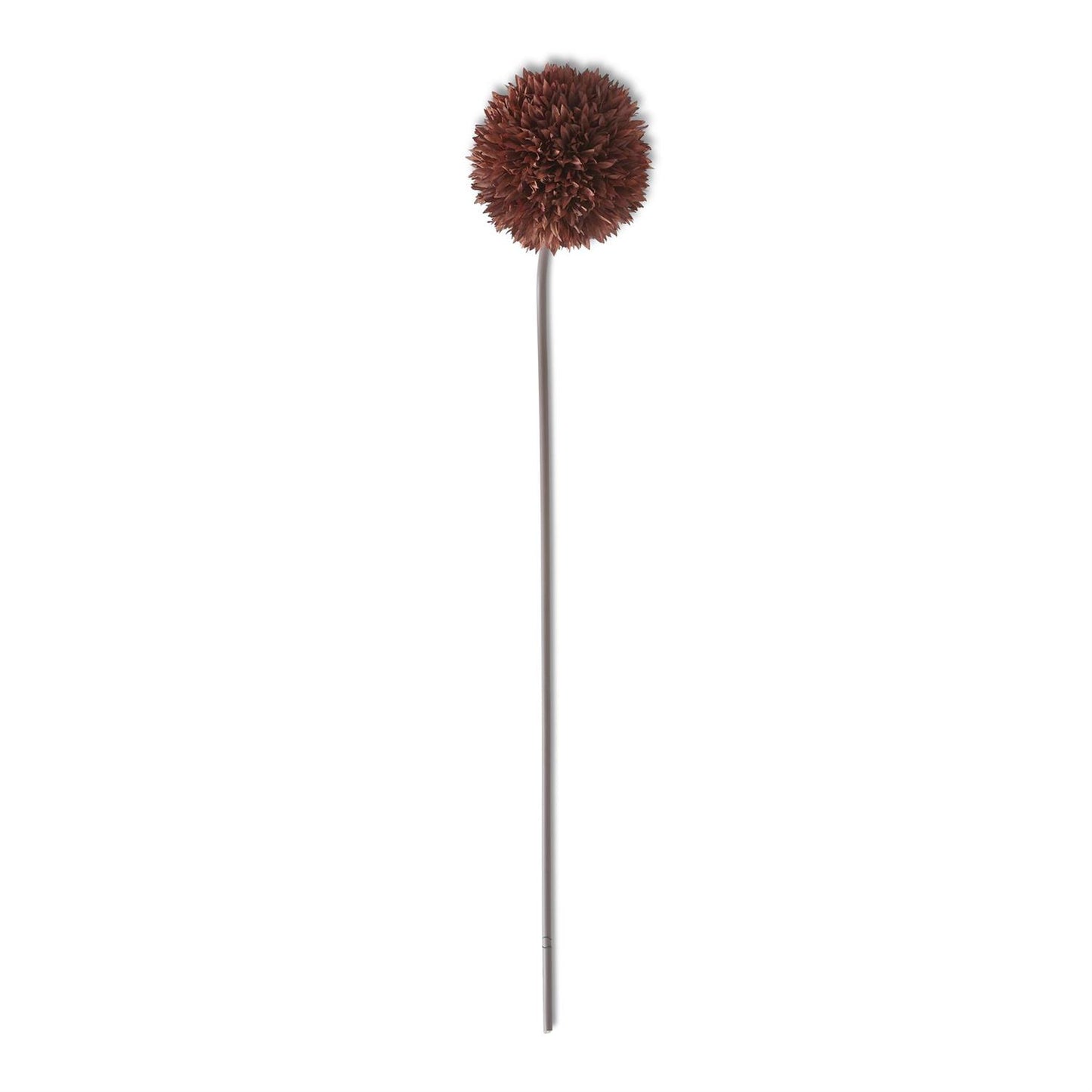 26 Inch Brown Allium Stem