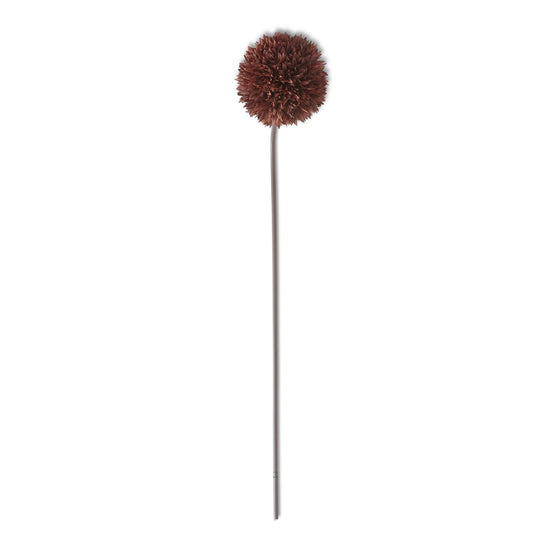 26 Inch Brown Allium Stem