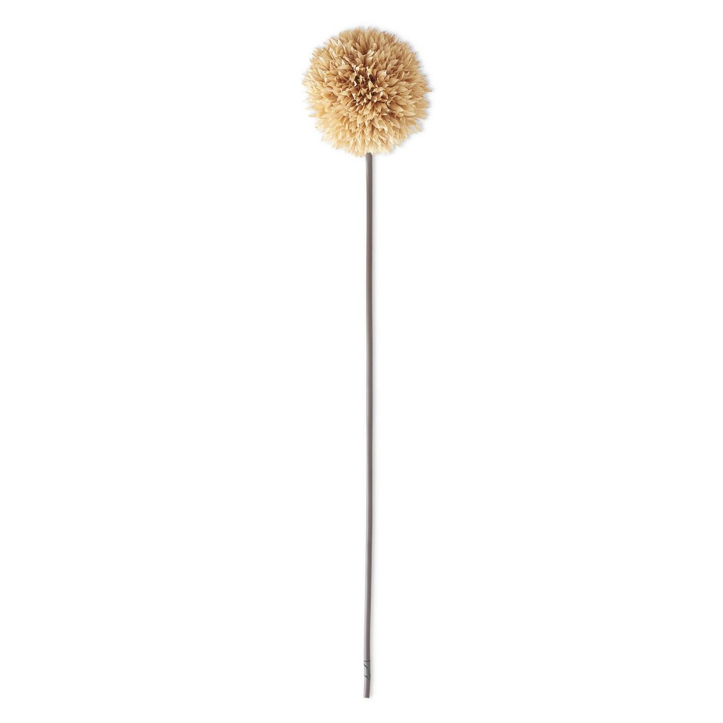 26" Cream Allium Stem