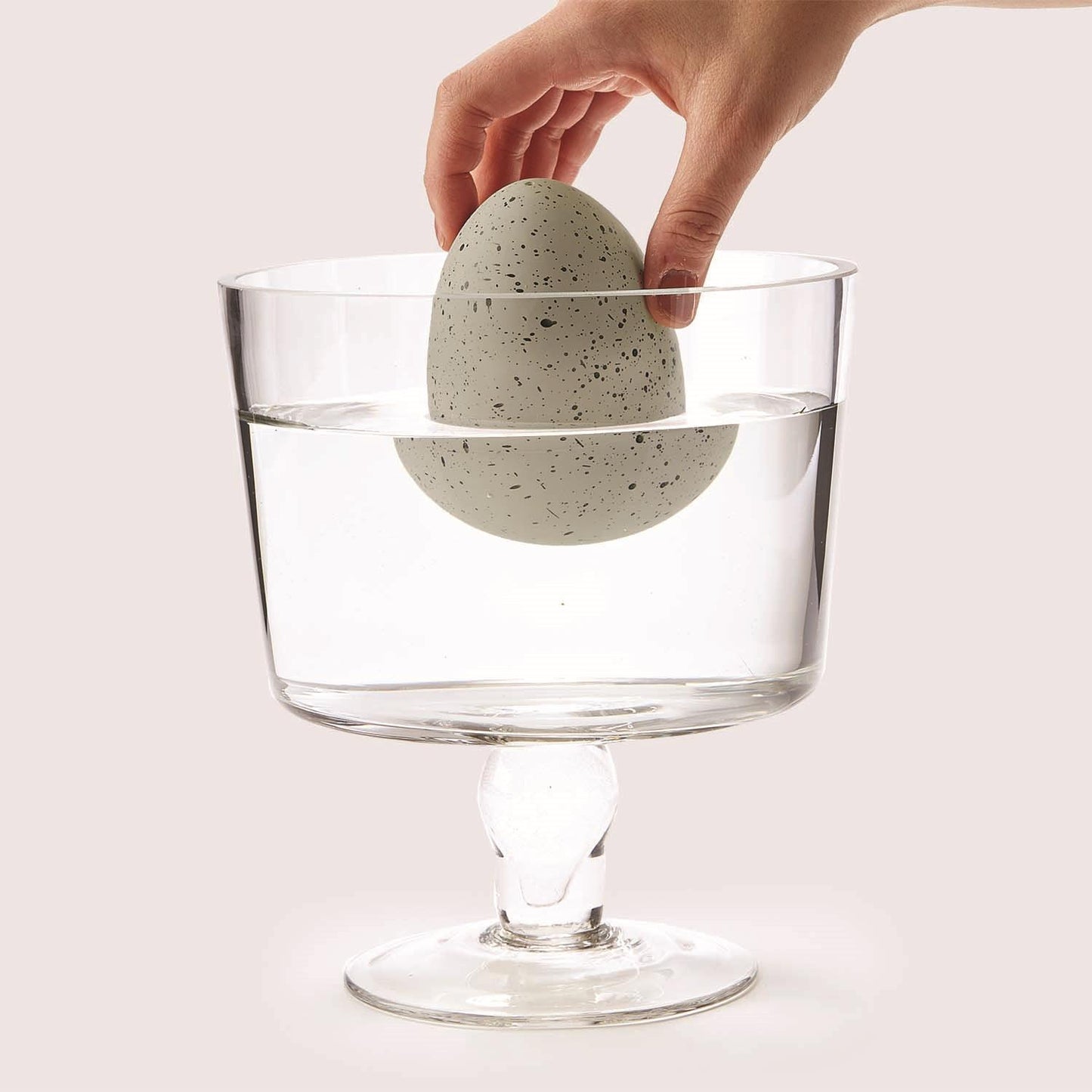 Mystery Growing Dino Egg