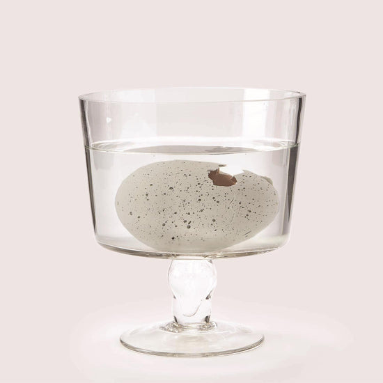 Load image into Gallery viewer, Mystery Growing Dino Egg
