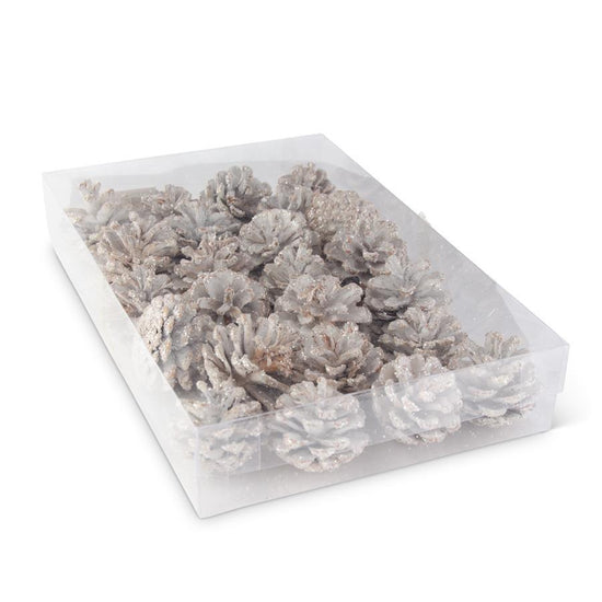 Box Of 24 Inch White Glitter Pinecones