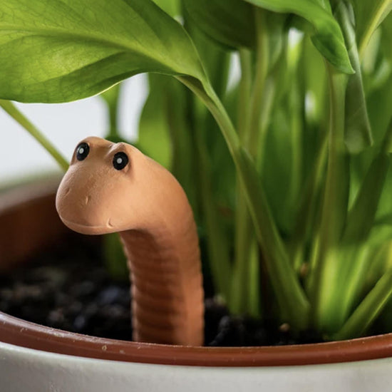 Load image into Gallery viewer, Water Worm Plant Water Sensor in Gift Box

