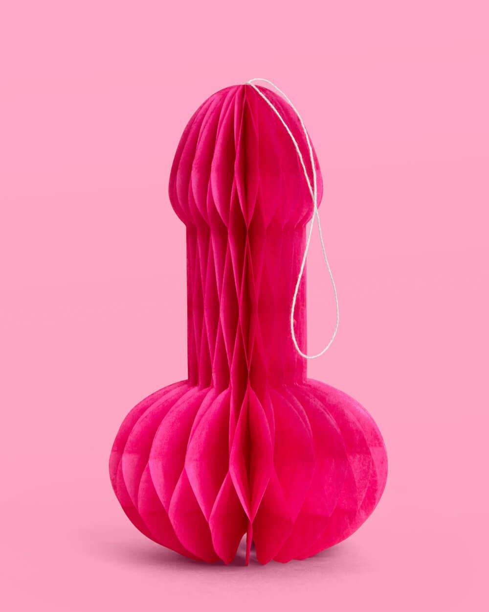 Bachelorette Party Penis Paper Accordion Decoration