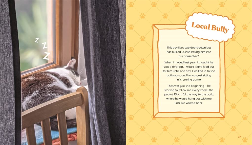 This is Not My Cat Book