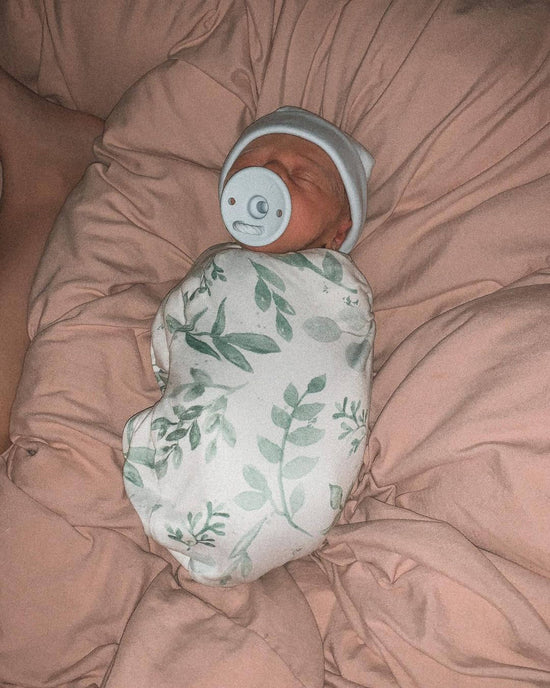 Load image into Gallery viewer, Pacifier Set Round (Blue &amp;amp; Mist)
