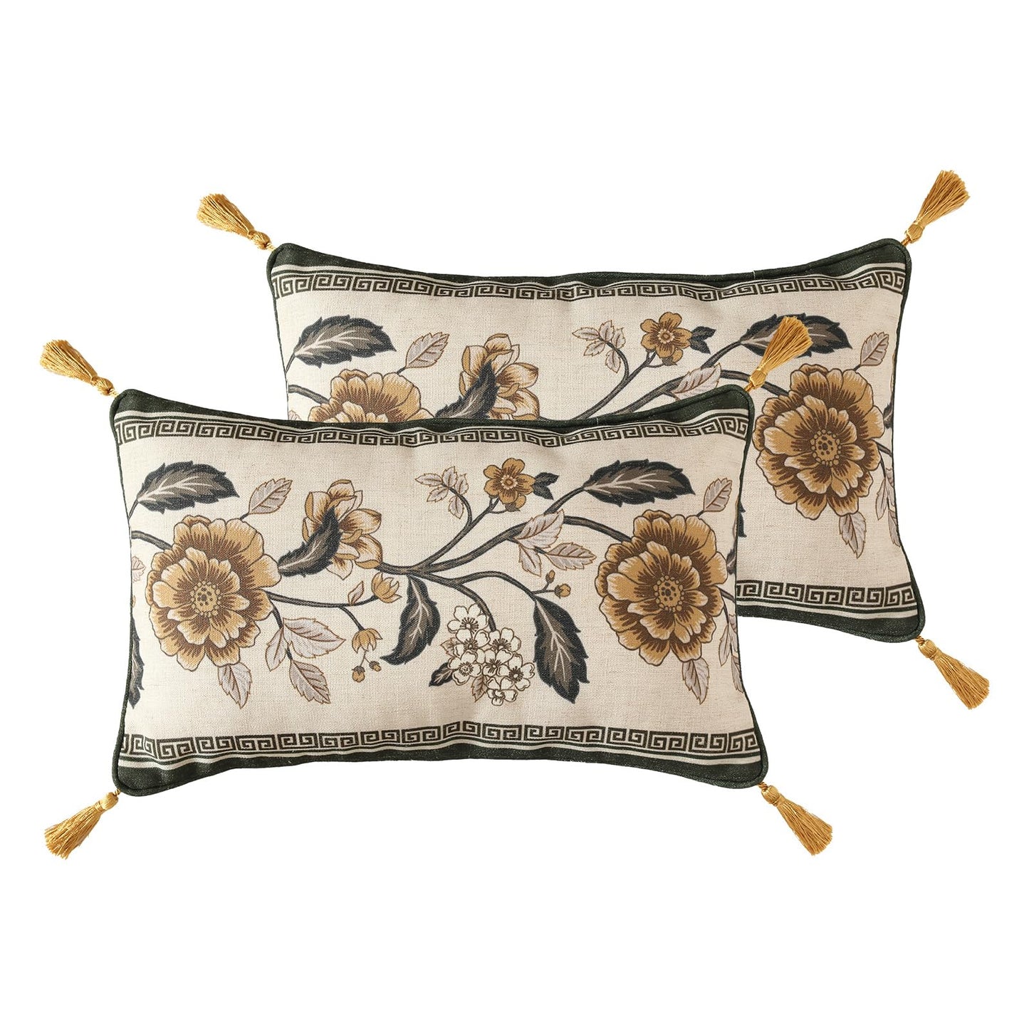 ISAENNE Designer Vintage Square Throw Pillow Cover,Set of 2,18"x18"
