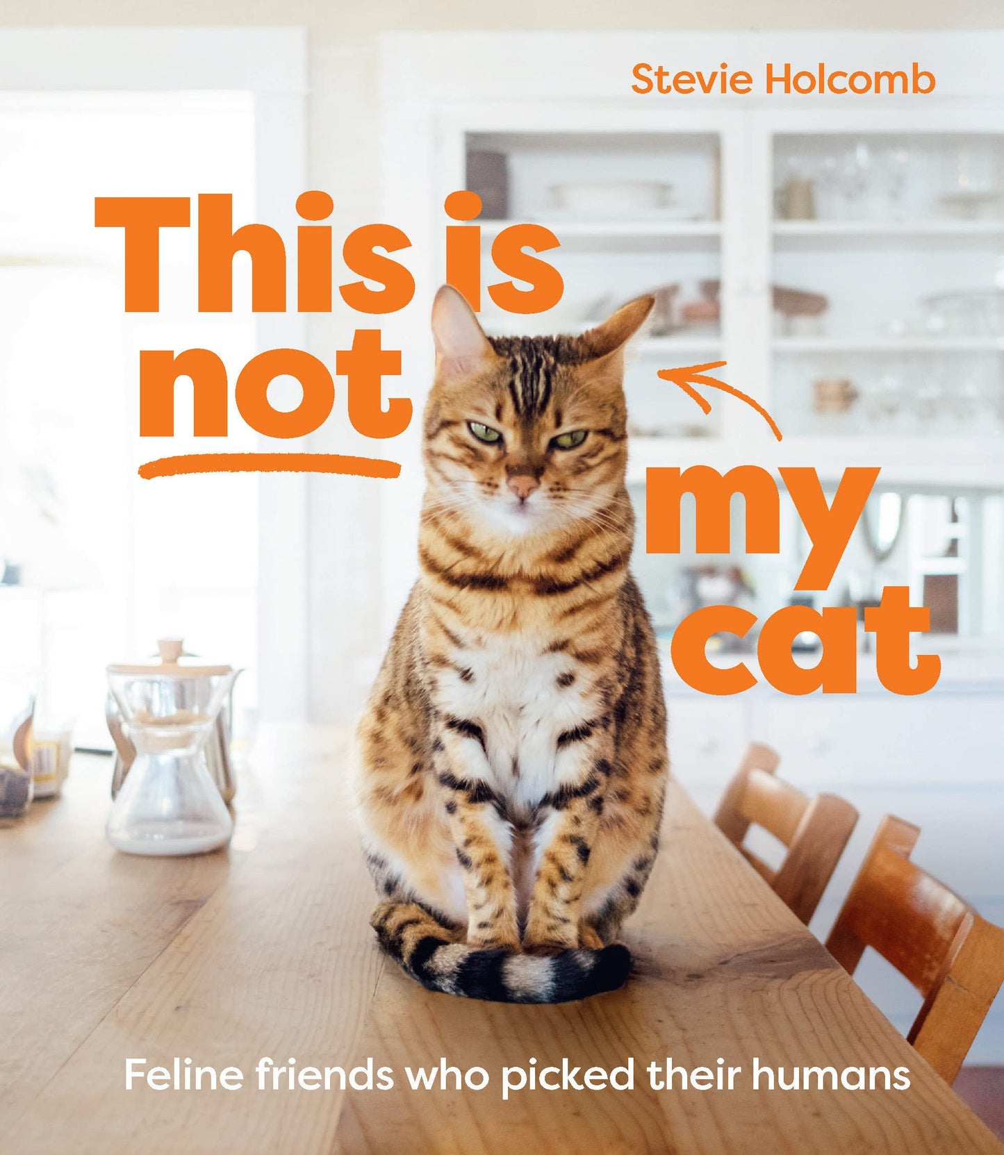 This is Not My Cat Book