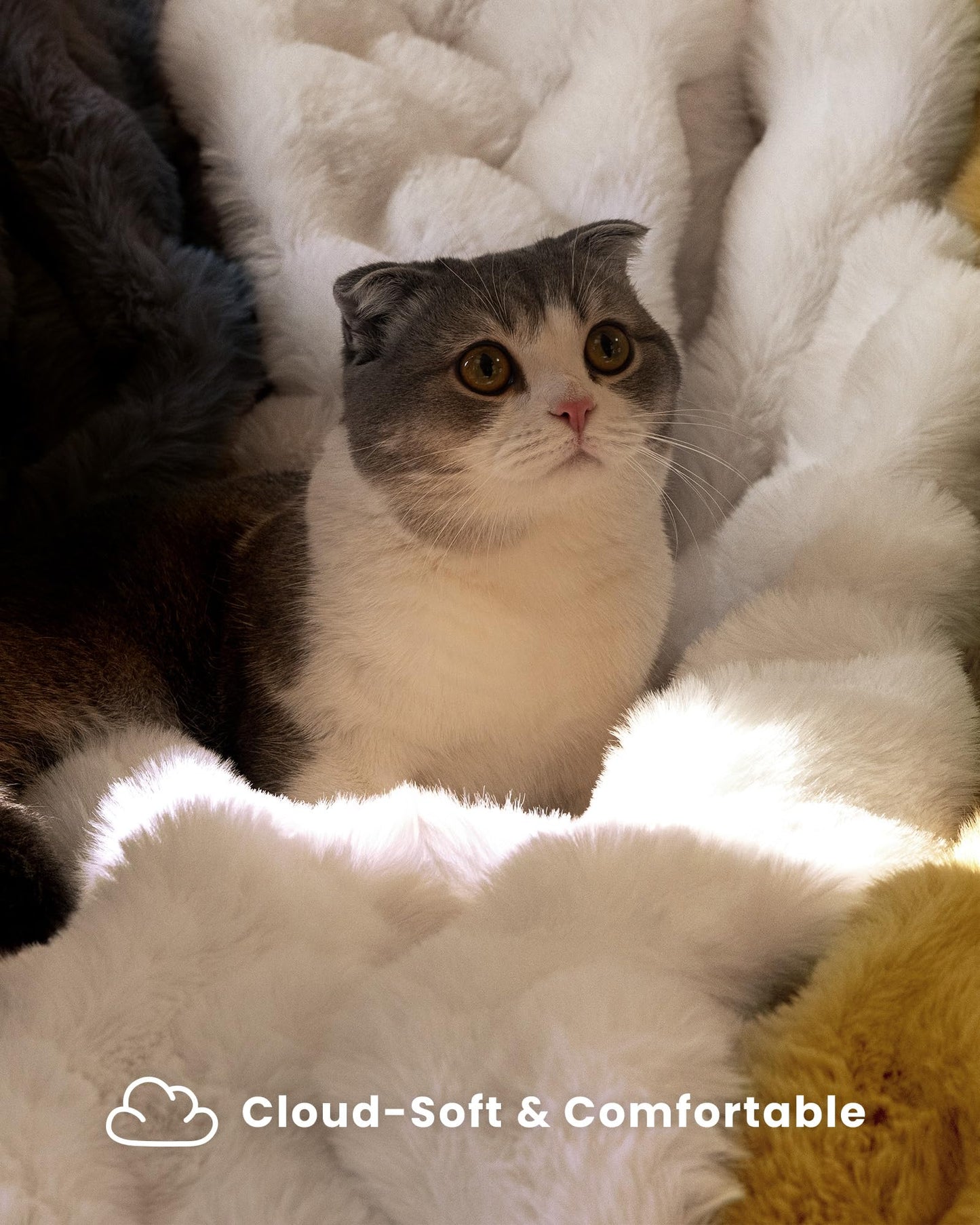 Ultra Soft Cozy Faux Fur Throw Blanket, Fuzzy Plush Thick Bubble Blanket, Oversize Luxury Fluffy Blanket for Couch, Sofa, Bedroom, and Living Room, 50x60 Inches, Light Brown
