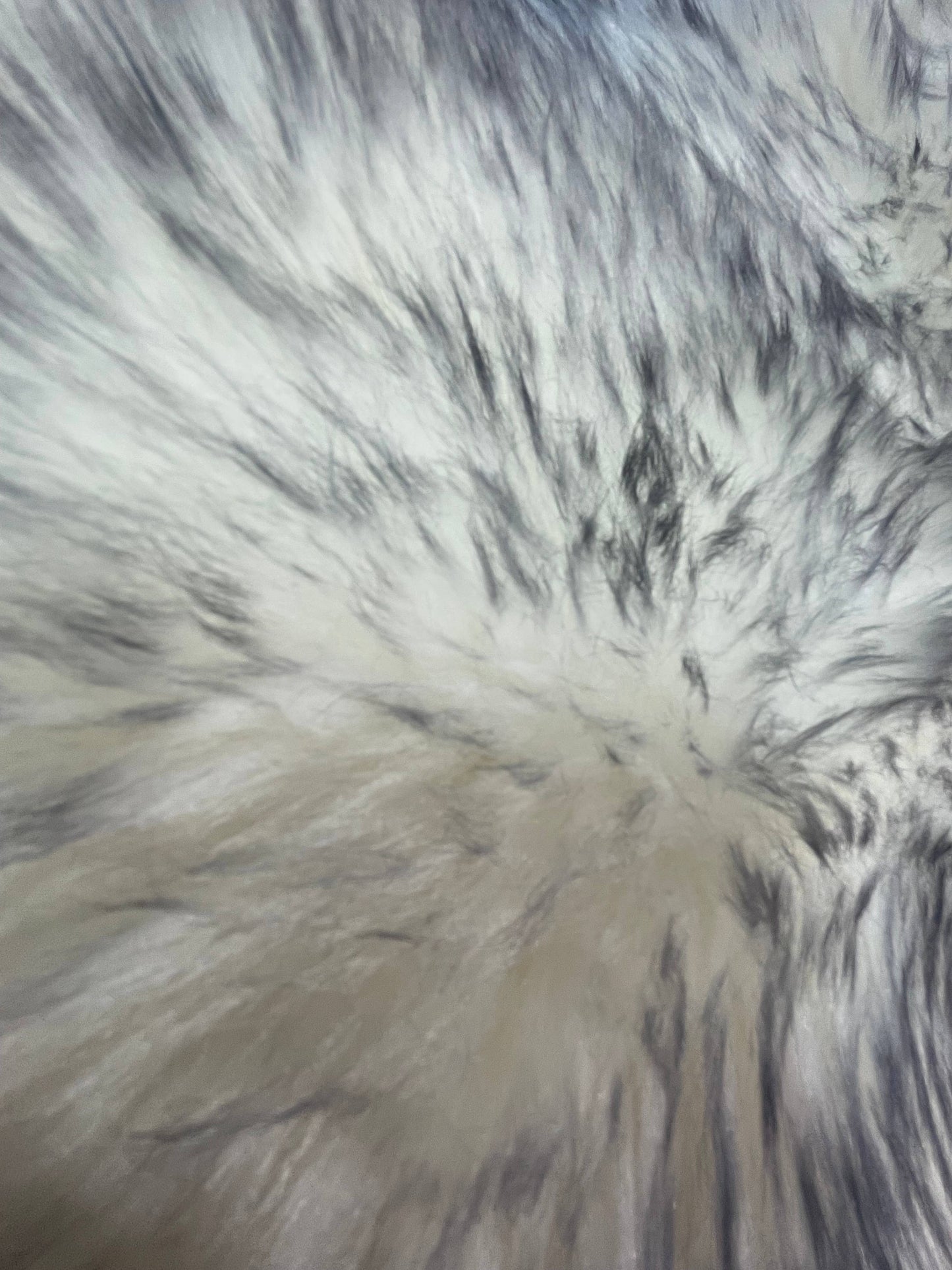Sheepskin Rug: Ivory / Single (2'x3')