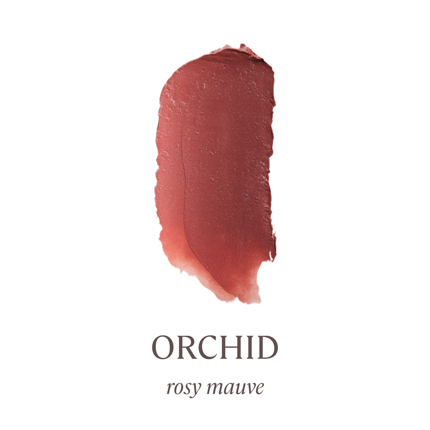 Cream Blush - Orchid