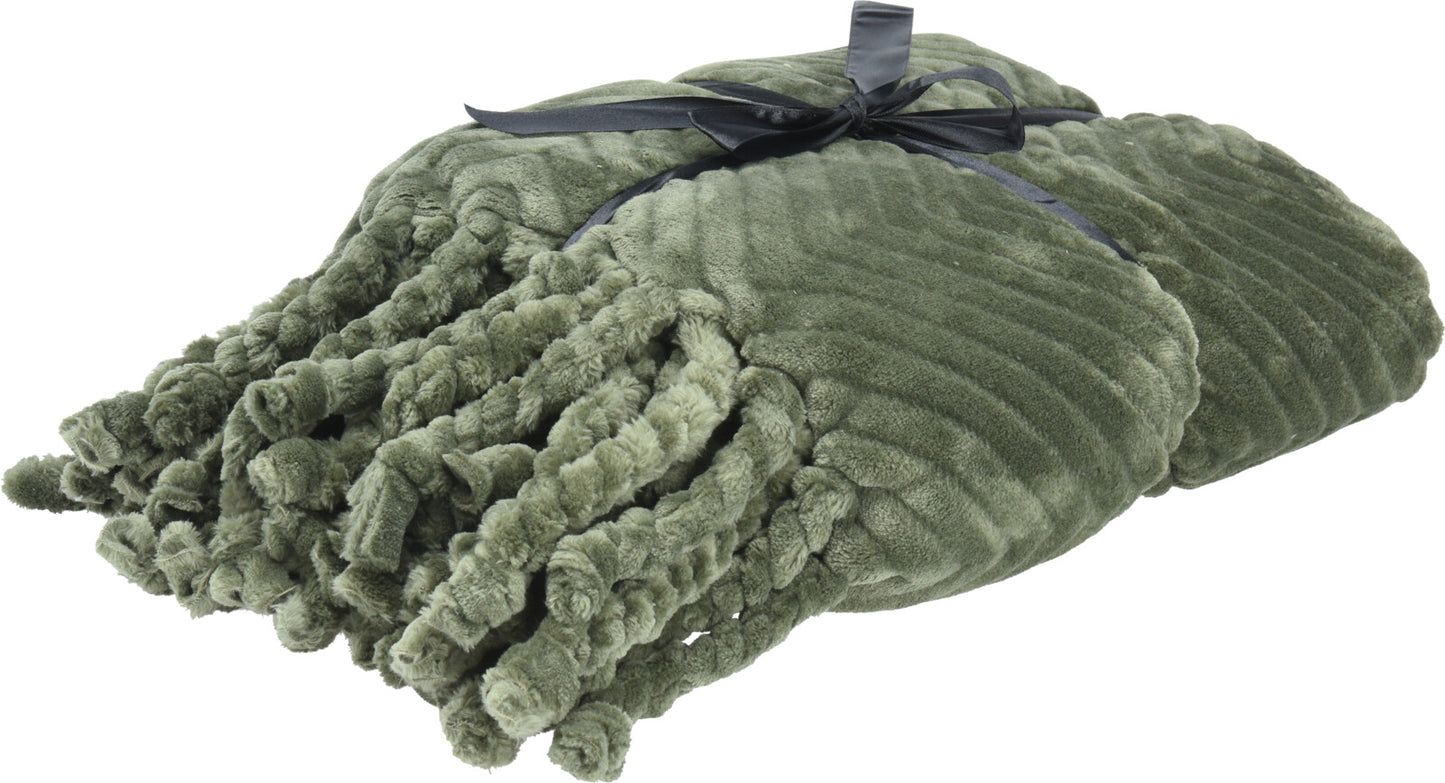 Plush Tassel Blanket