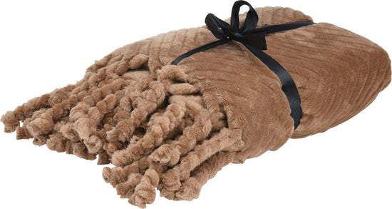 Load image into Gallery viewer, Plush Tassel Blanket
