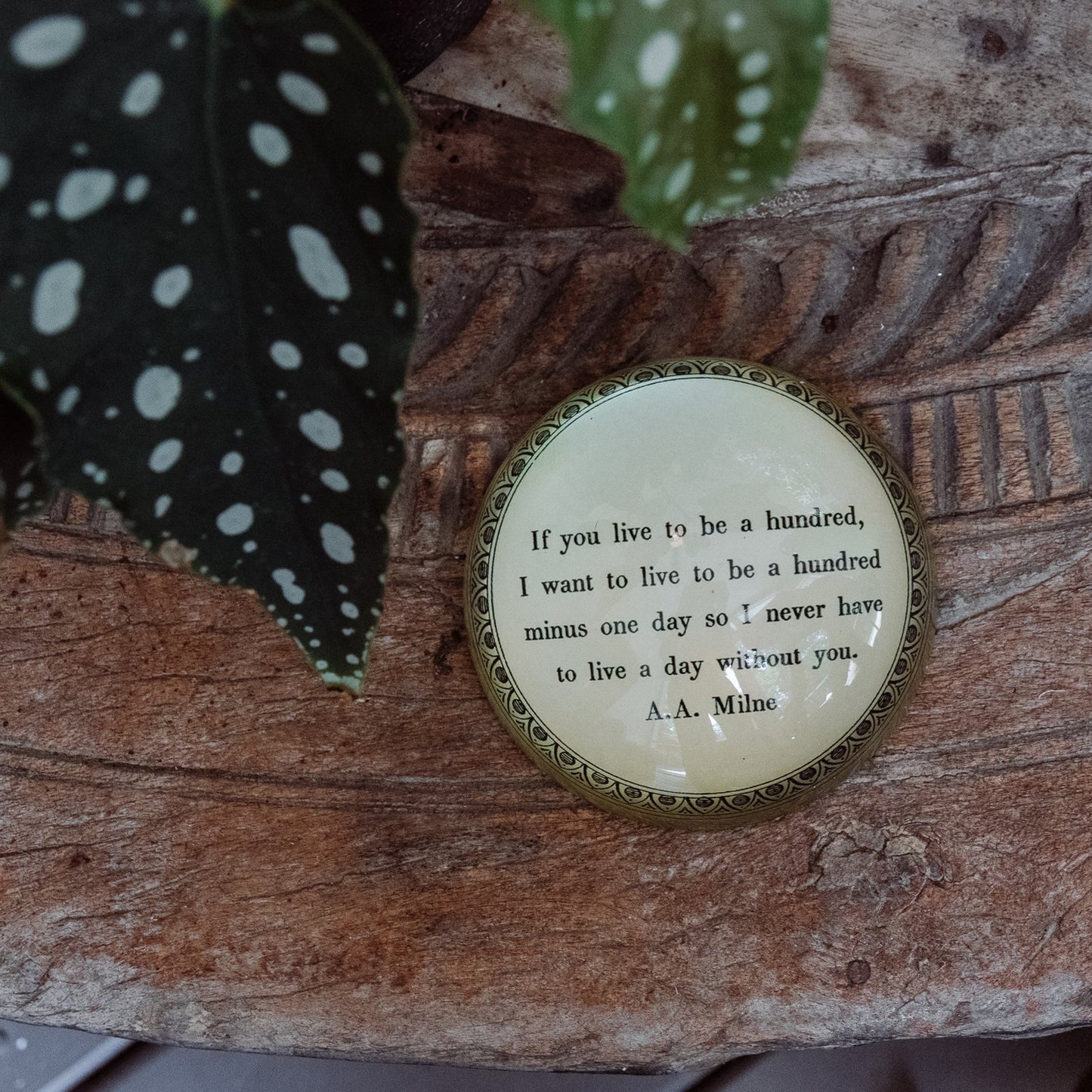 Paperweight - If You Live To Be Hundred