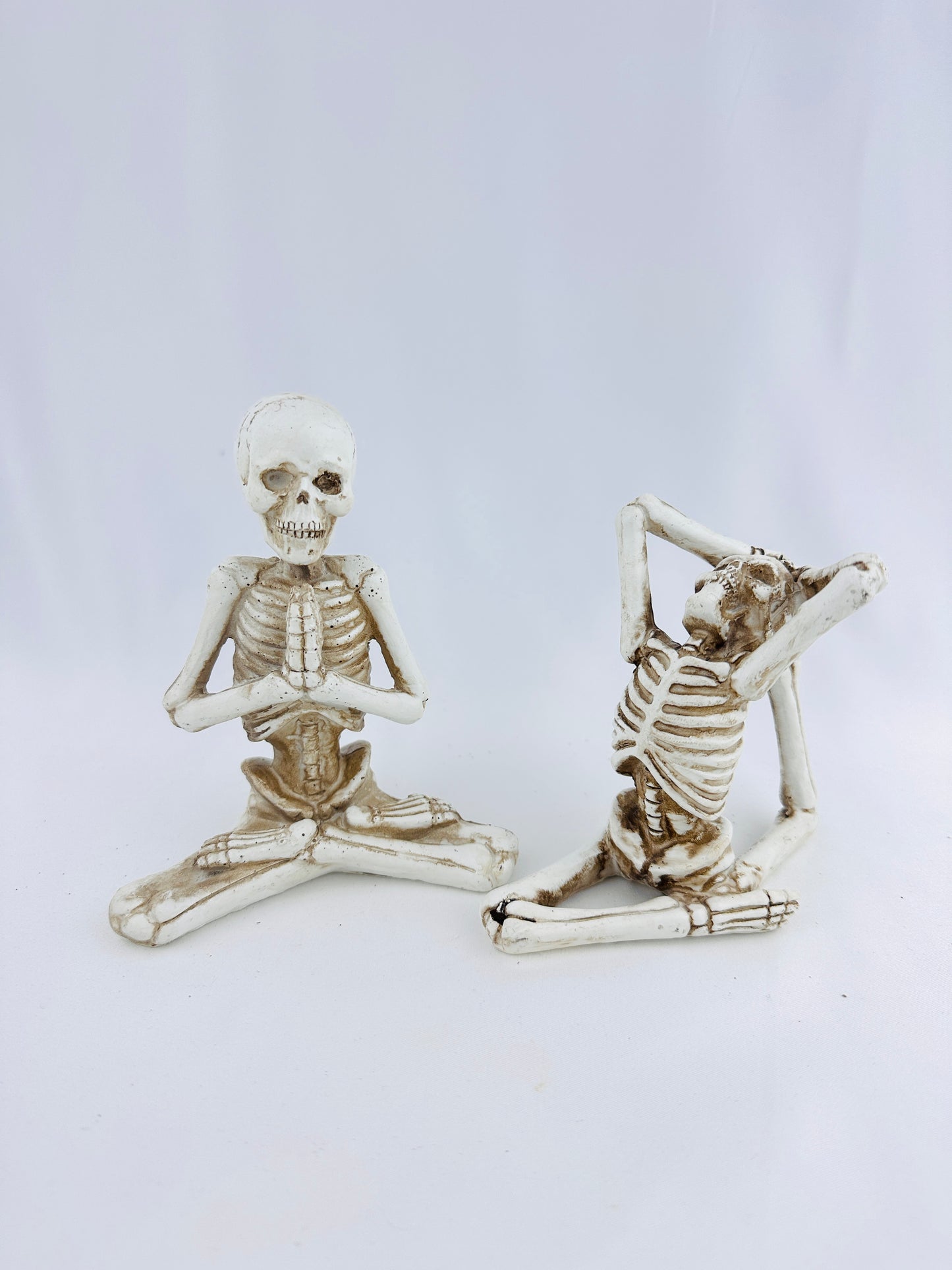 Resin Assorted Yoga Pose Skeletons