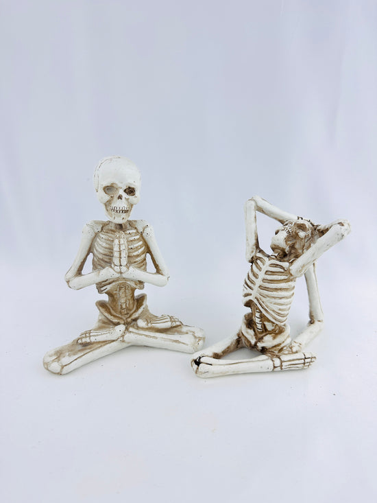Resin Assorted Yoga Pose Skeletons