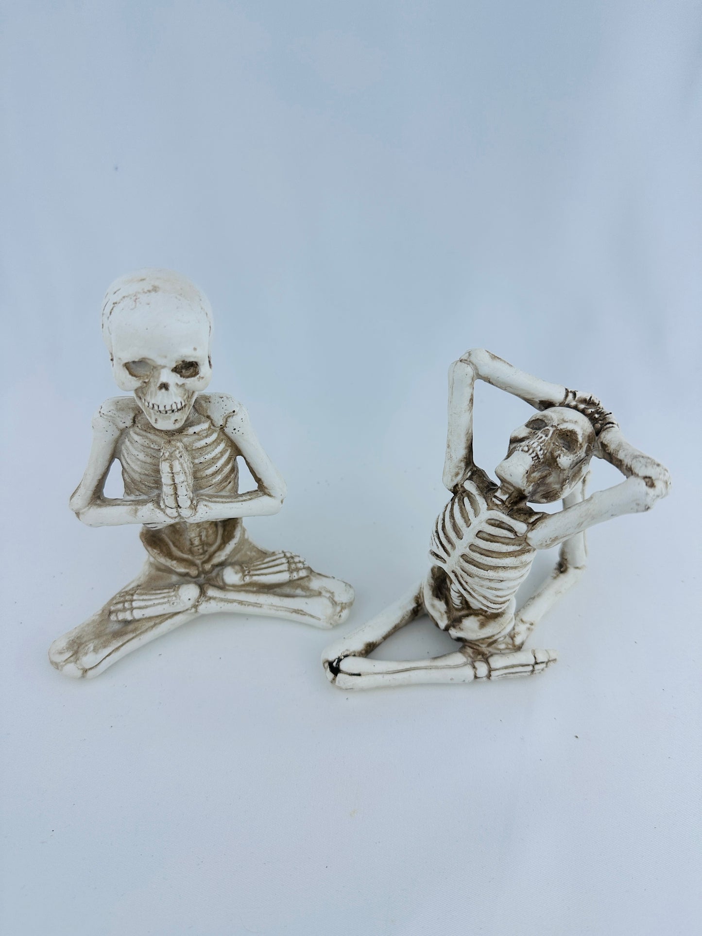 Resin Assorted Yoga Pose Skeletons