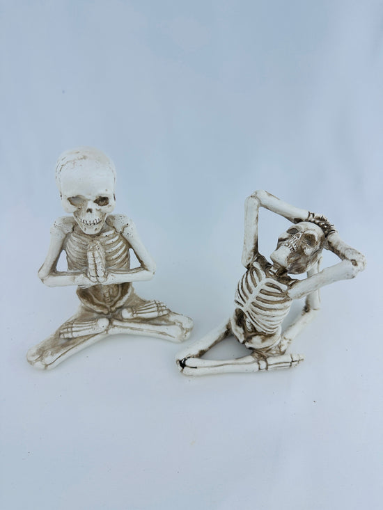 Resin Assorted Yoga Pose Skeletons