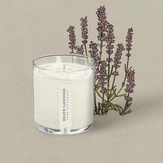 Load image into Gallery viewer, Heath Lavender Plant the Box Candle 9oz
