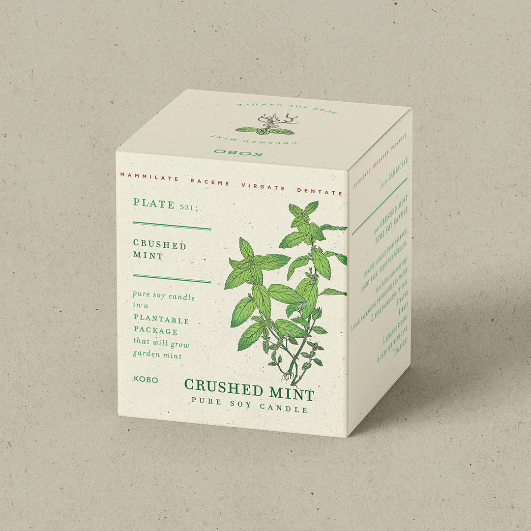 Crushed Mint Plant the Box Candle 9oz