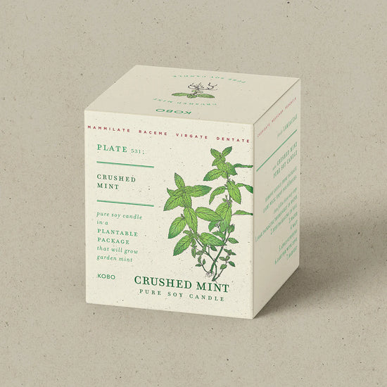 Crushed Mint Plant the Box Candle 9oz