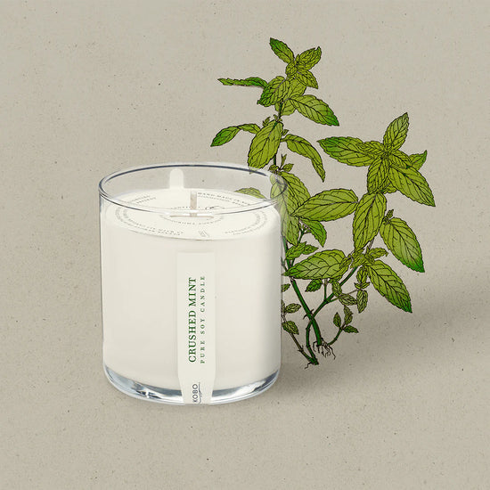 Load image into Gallery viewer, Crushed Mint Plant the Box Candle 9oz

