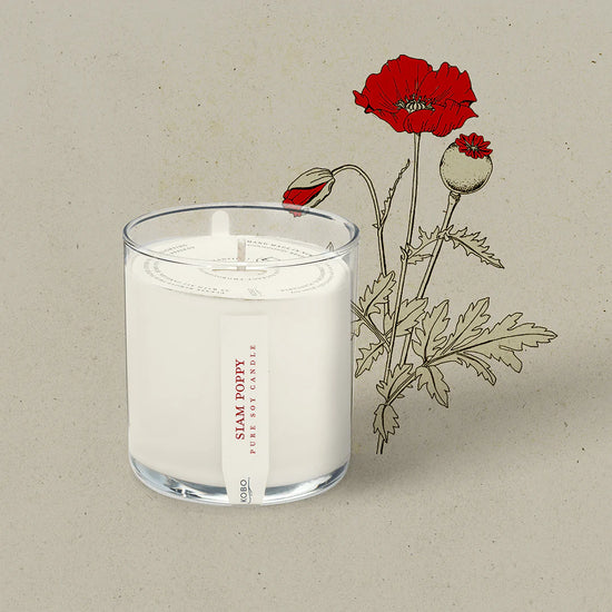 Load image into Gallery viewer, Siam Poppy Plant the Box Candle 9oz
