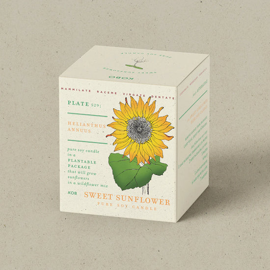 Load image into Gallery viewer, Sweet Sunflower Plant the Box Candle 9oz
