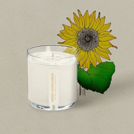 Load image into Gallery viewer, Sweet Sunflower Plant the Box Candle 9oz
