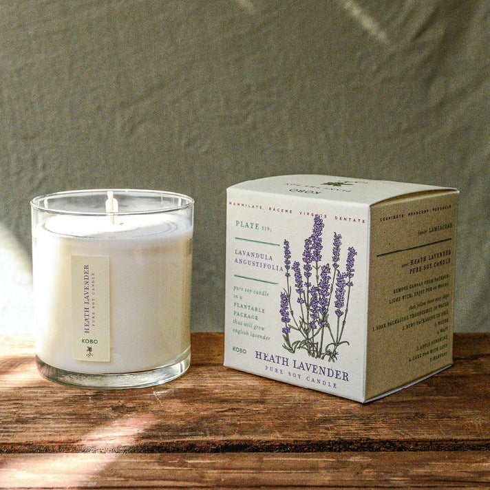 Heath Lavender Plant the Box Candle 9oz