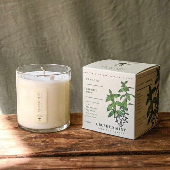 Load image into Gallery viewer, Crushed Mint Plant the Box Candle 9oz

