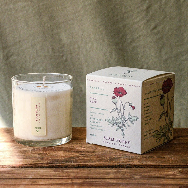 Siam Poppy Plant the Box Candle 9oz