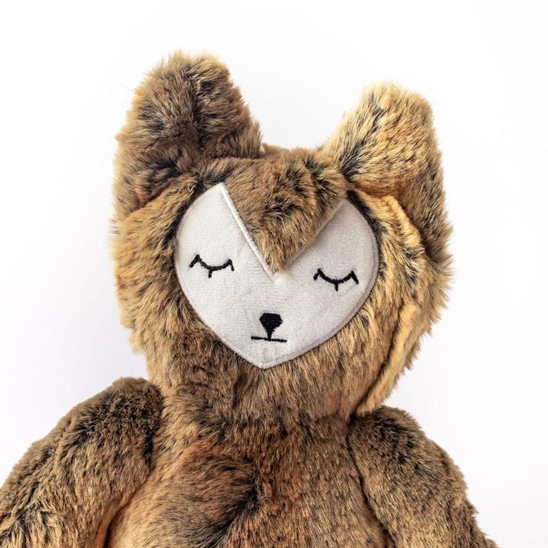 Fox Kin + Lesson Book - Fox's Big Family Change: A Lesson in Change