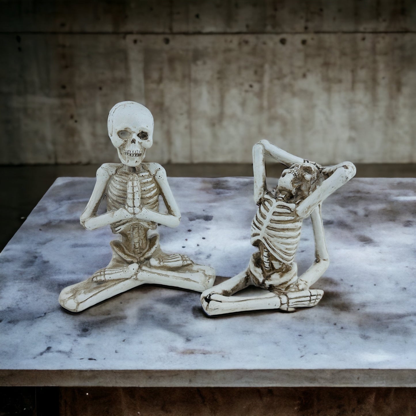 Resin Assorted Yoga Pose Skeletons