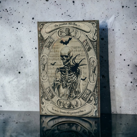 Load image into Gallery viewer, Fright Night Book Boxes
